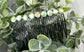 Light Green faux Rhinestone  hair comb accessory side Comb 3.5” black plastic side Comb